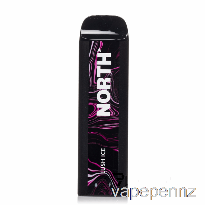 North 5000 Disposable Lush Ice VAPE NZ